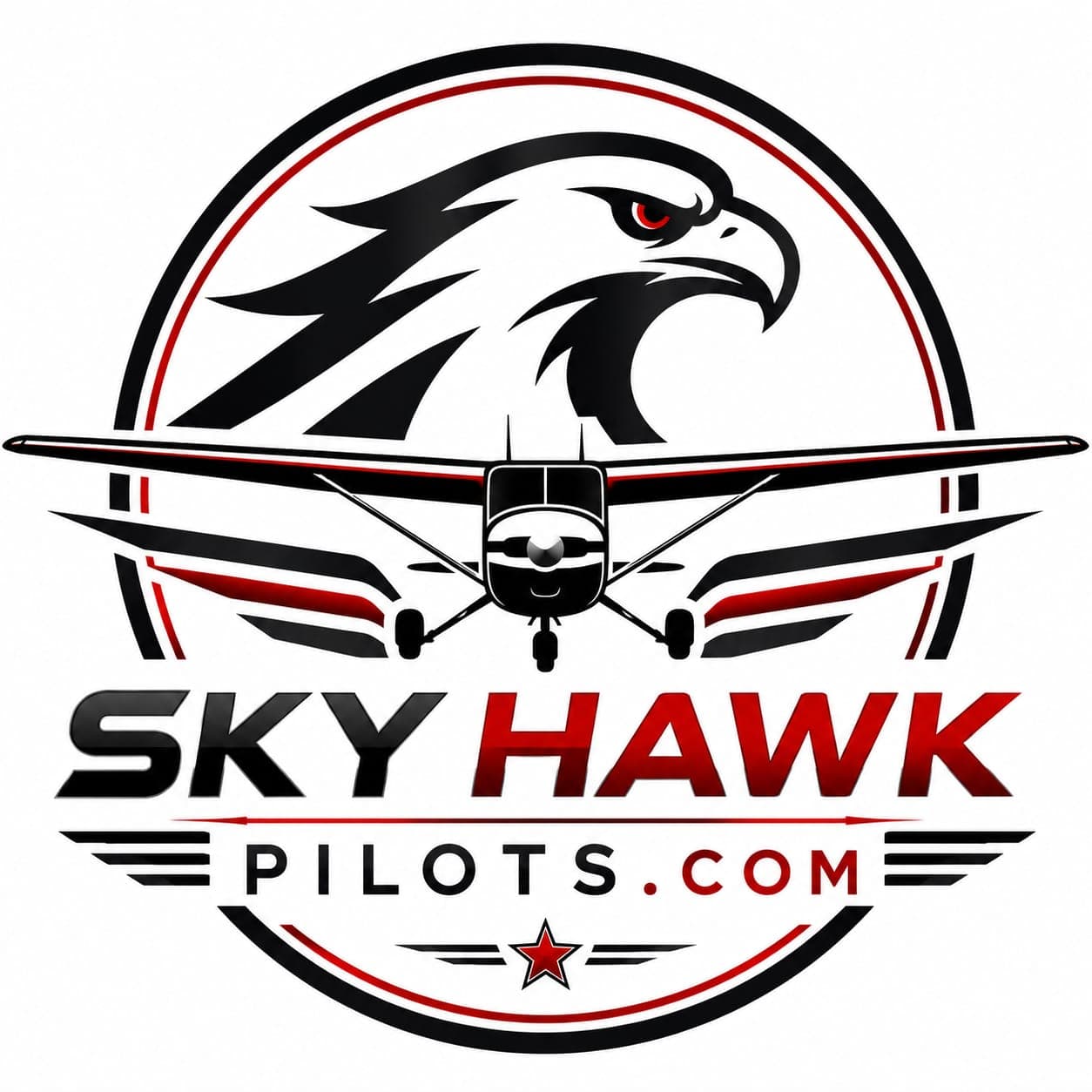 Sky Hawk Background Silhouette